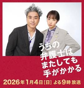 我家的律师又惹麻烦了海报